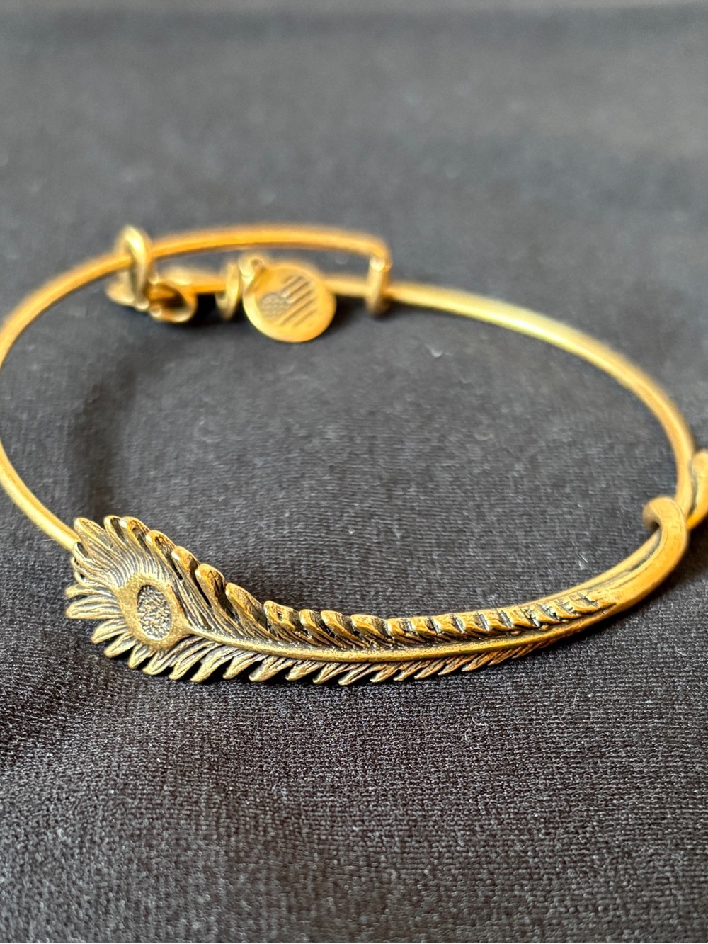 Alex and Ani Gold Feather Accent Expandable Bangle